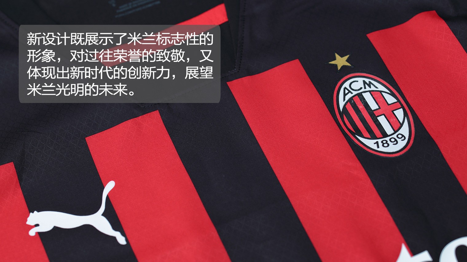 意式链式防 意式链式防